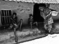 100 - slice from daily life - TALUKDAR LOPAMUDRA - india